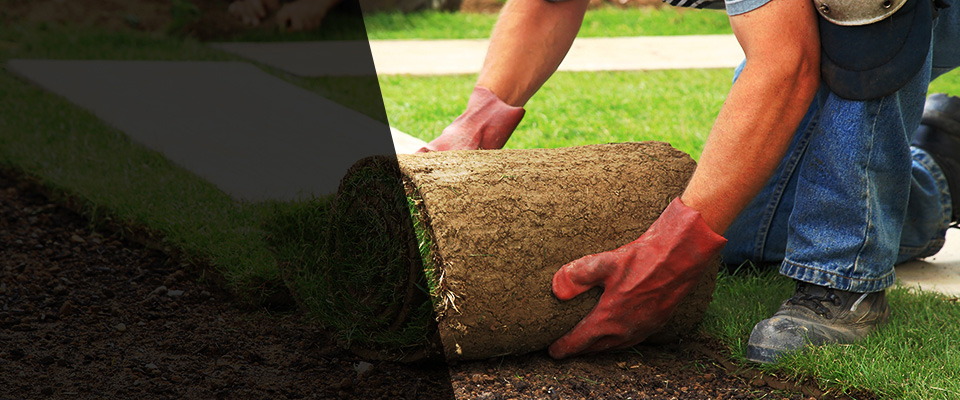 Herriman Landscapers